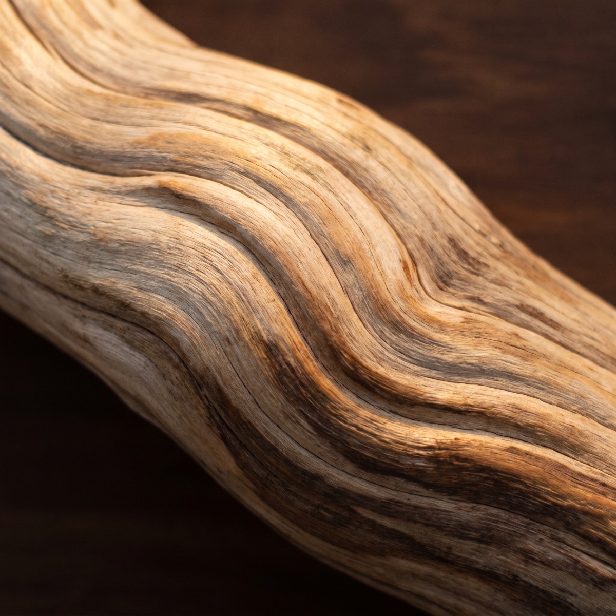 Driftwood worn smooth into long soft waves
